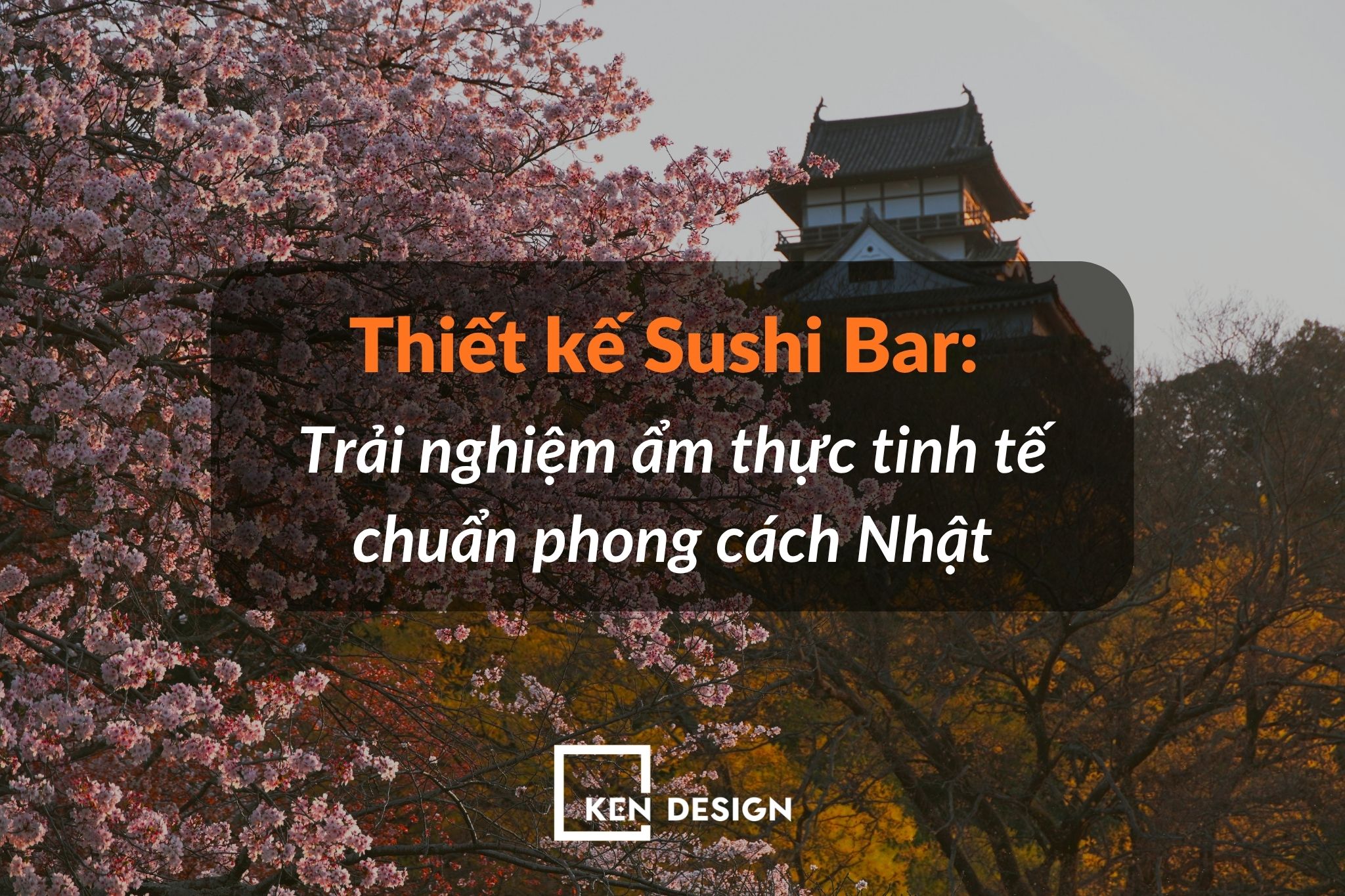 Đầu tư Sushi Bar có đáng so với giá trị mang lại trong nhà hàng Nhật?